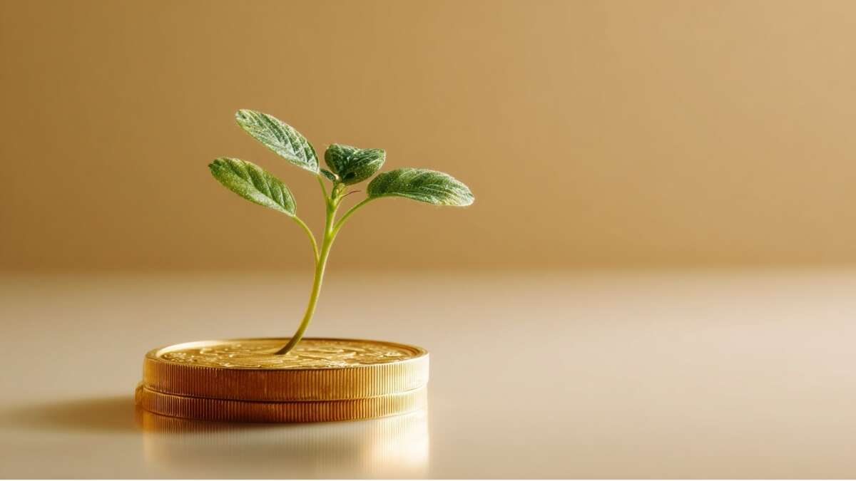 سکه طلا با نهال پسته — اتاقی پاستلی، نور گرم.